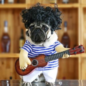 Halloween Guitar dog costume