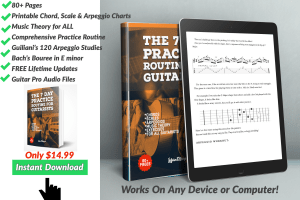 The 7 Day Practice Routine For Guitarists eBook