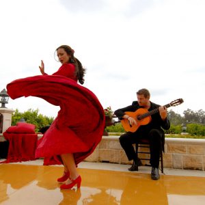 berto boyd flamenco guitar