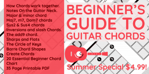 The beginners Guide to guitar chords book